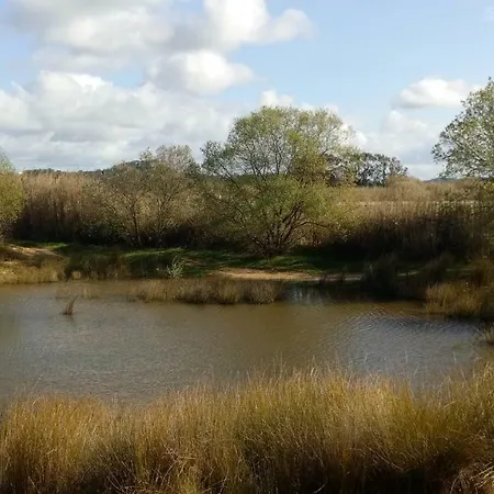 Casa vacanze Casa D Amélia Óbidos