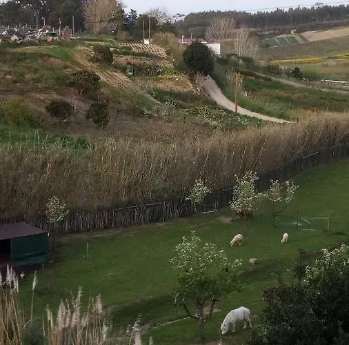 Casa D Amelia Feriehus Óbidos