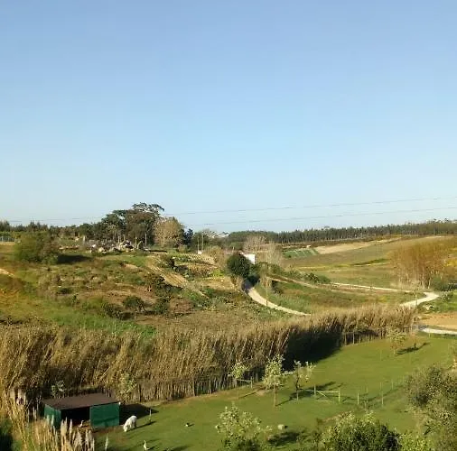 Casa D Amelia Óbidos